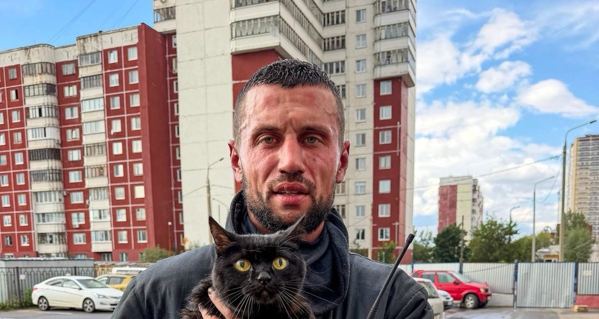 В Дзержинском районе Перми при пожаре в квартире спасли человека и кошку